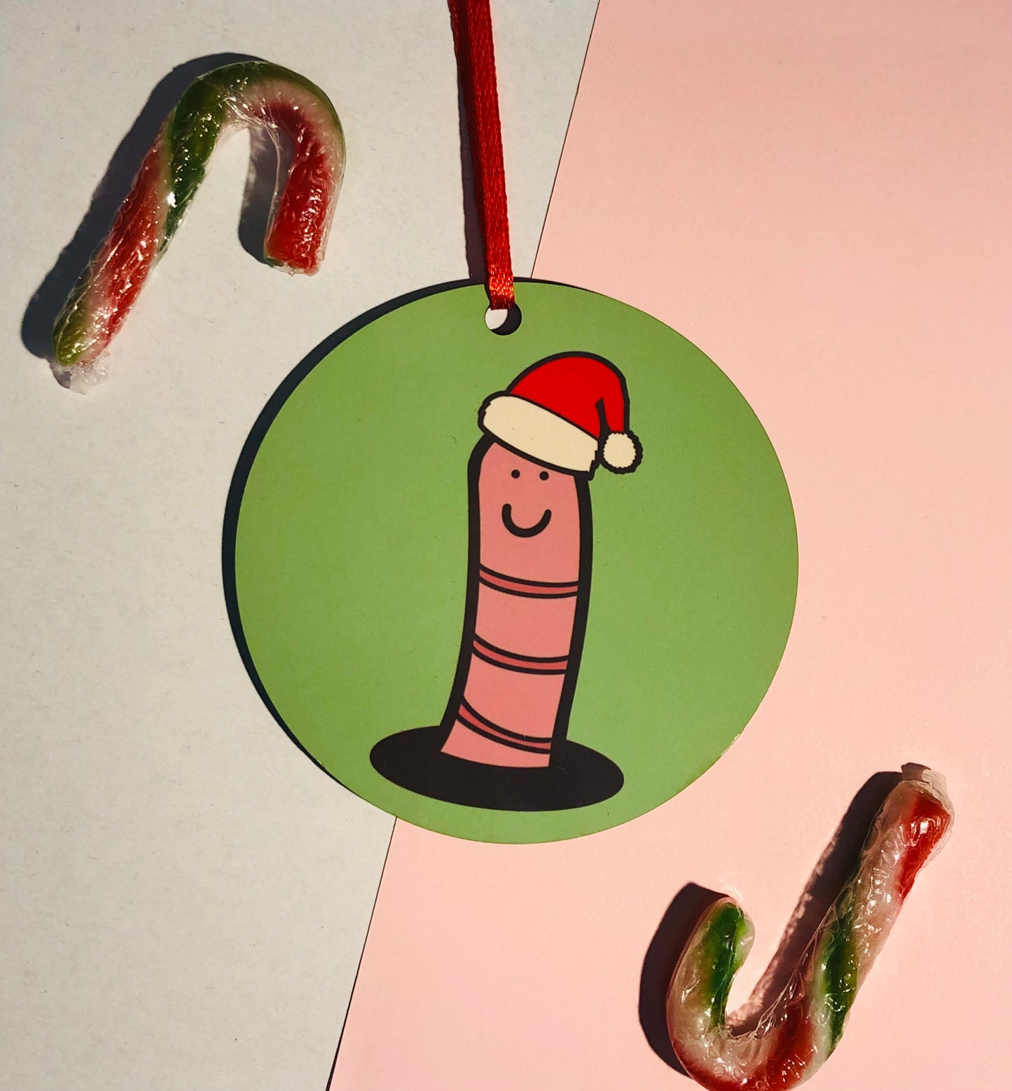 Cute Worm Christmas Decoration